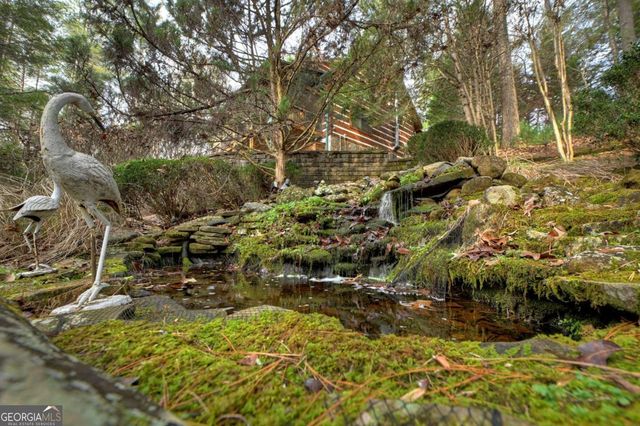 598 Whispering Pine Lane, Cherry Log, GA 30522