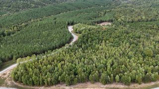 1477 Hawthorn Dr, Linden, TN 37096