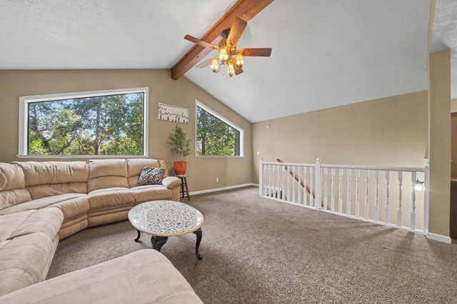 16056 N Cedar Heights Dr, Pioneer, CA 95666
