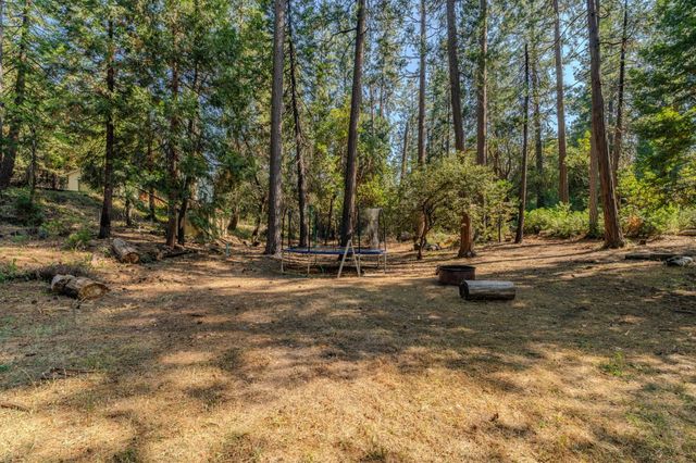 16056 N Cedar Heights Dr, Pioneer, CA 95666