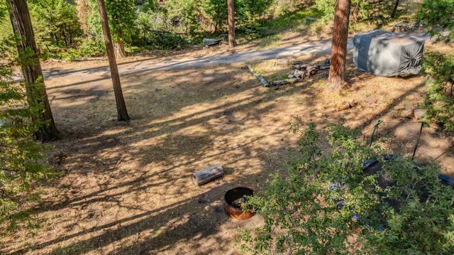 16056 N Cedar Heights Dr, Pioneer, CA 95666