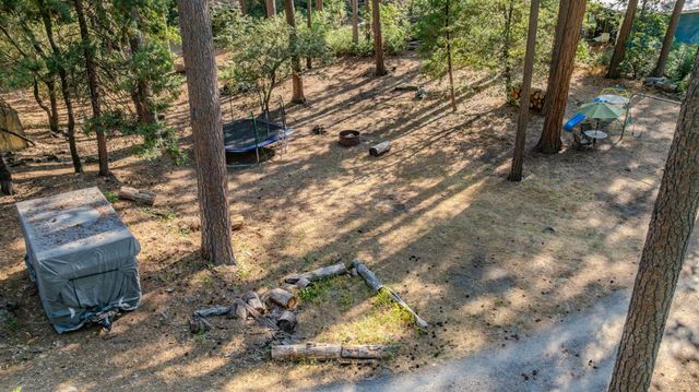 16056 N Cedar Heights Dr, Pioneer, CA 95666