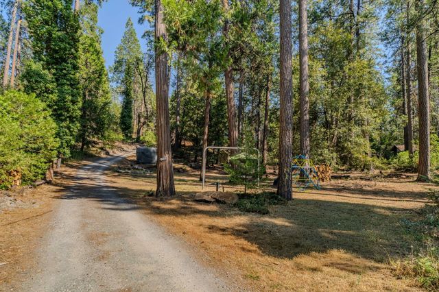 16056 N Cedar Heights Dr, Pioneer, CA 95666