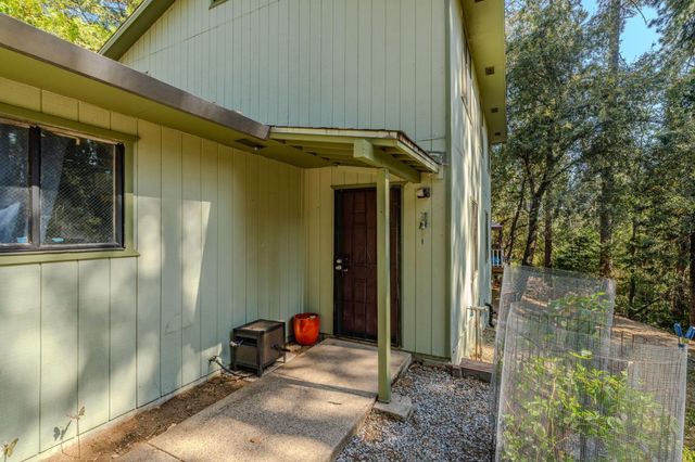 16056 N Cedar Heights Dr, Pioneer, CA 95666