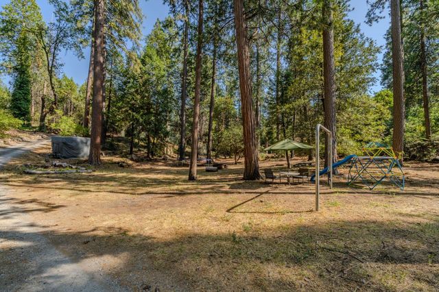 16056 N Cedar Heights Dr, Pioneer, CA 95666