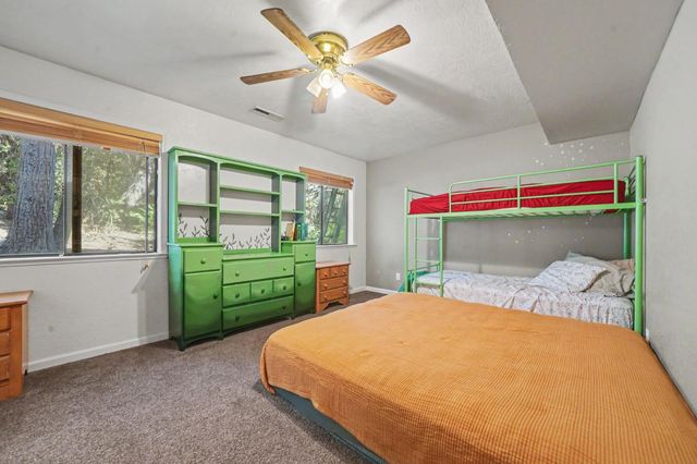 16056 N Cedar Heights Dr, Pioneer, CA 95666