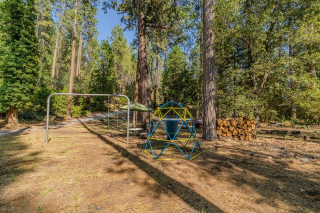 16056 N Cedar Heights Dr, Pioneer, CA 95666