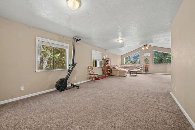 16056 N Cedar Heights Dr, Pioneer, CA 95666
