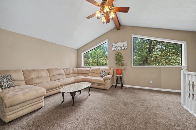 16056 N Cedar Heights Dr, Pioneer, CA 95666