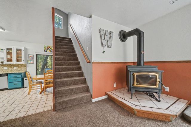 16056 N Cedar Heights Dr, Pioneer, CA 95666