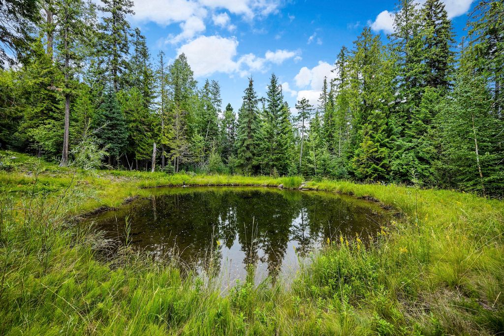 90 Woodland Star Circle, Whitefish, MT 59937 photo 3