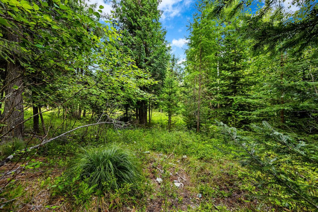 90 Woodland Star Circle, Whitefish, MT 59937 photo 5