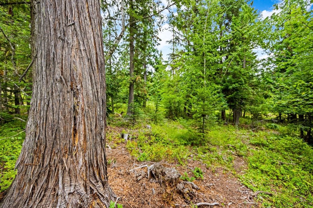 90 Woodland Star Circle, Whitefish, MT 59937 photo 6