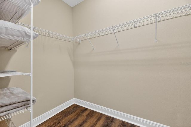 513 MANNS HARBOR DRIVE, Apollo Beach, FL 33572