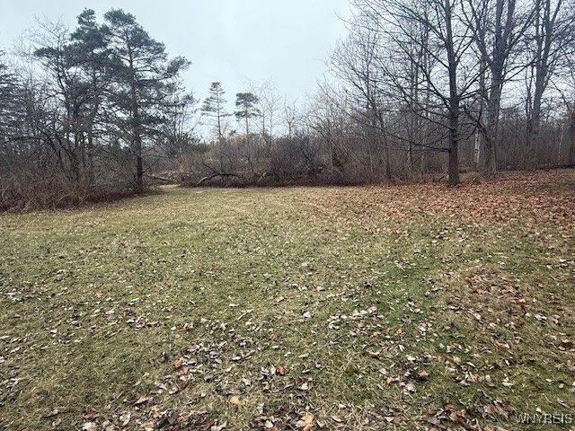 35 James Place, Orchard Park, NY 14127