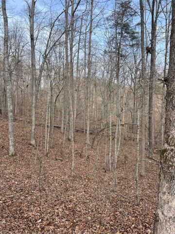 9999 Dreyfus Road, Waco, KY 40385