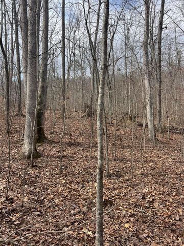 9999 Dreyfus Road, Waco, KY 40385