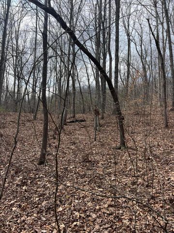 9999 Dreyfus Road, Waco, KY 40385