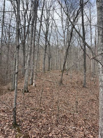 9999 Dreyfus Road, Waco, KY 40385