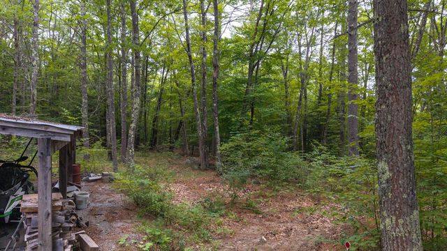 616 Tyler Road, Webster, NH 03303