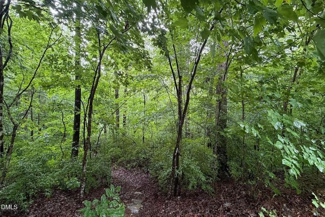 1001 Reaves Drive, Chapel Hill, NC 27516