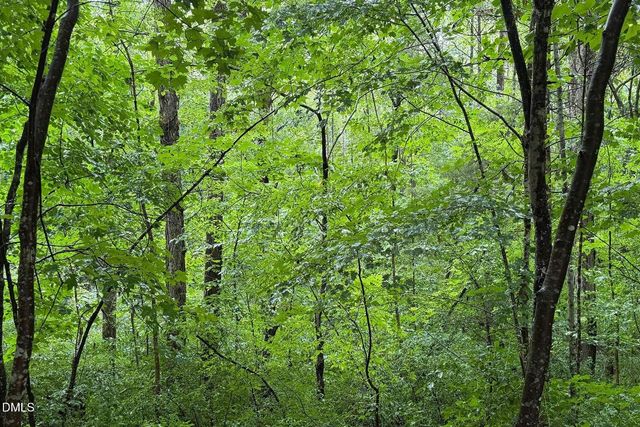 1001 Reaves Drive, Chapel Hill, NC 27516