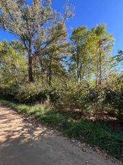 207 Ambler Drive, Brooklyn, MI 49230