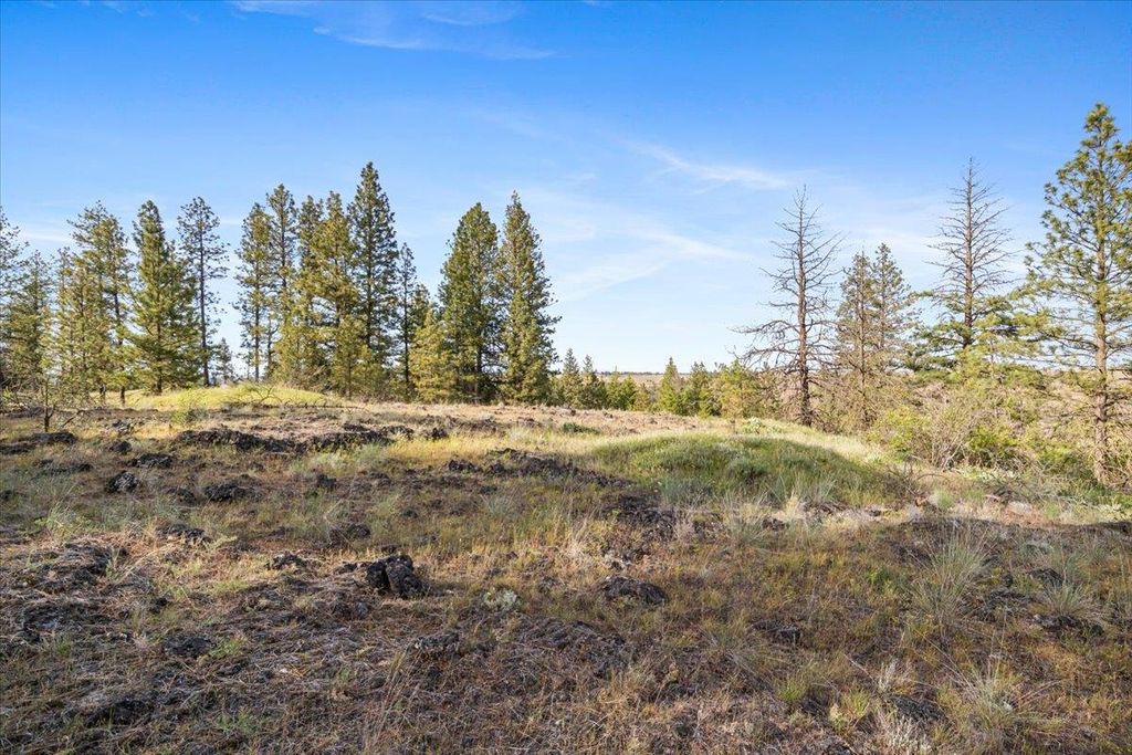 xxx Richardson Ln, Davenport, WA 99122 photo 12