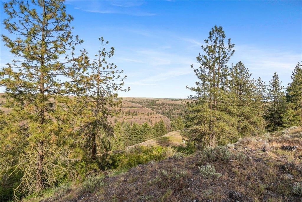 xxx Richardson Ln, Davenport, WA 99122 photo 13