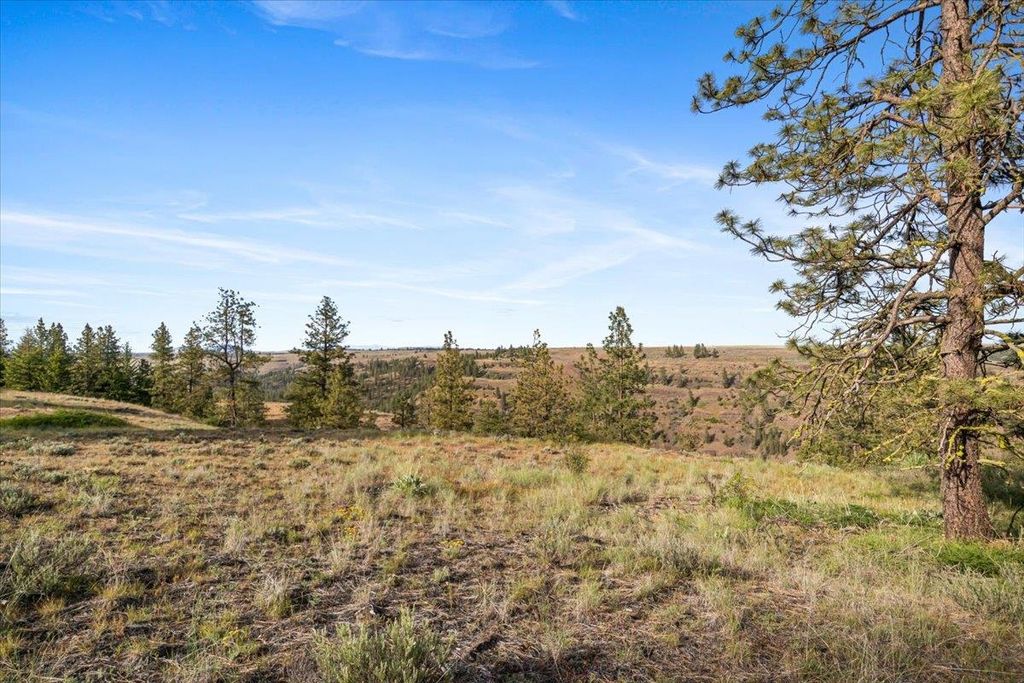 xxx Richardson Ln, Davenport, WA 99122 photo 15