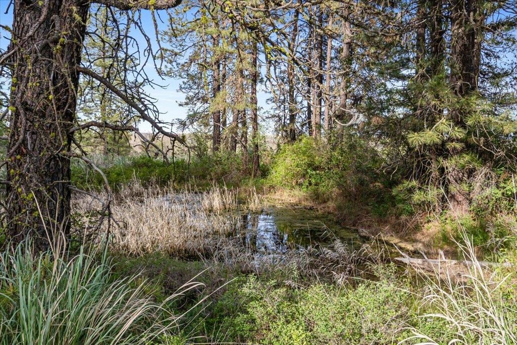 xxx Richardson Ln, Davenport, WA 99122 photo 16