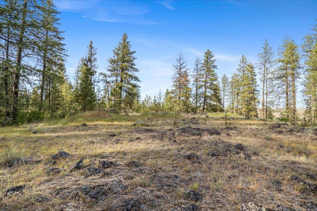 xxx Richardson Ln, Davenport, WA 99122 photo 17