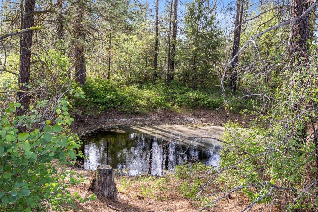 xxx Richardson Ln, Davenport, WA 99122 photo 18