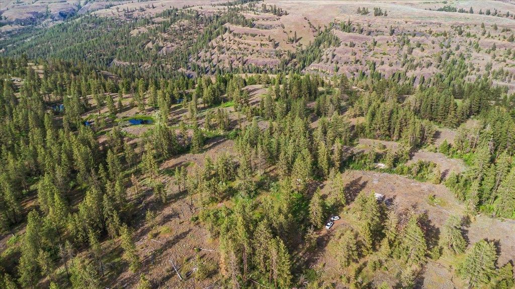 xxx Richardson Ln, Davenport, WA 99122 photo 3