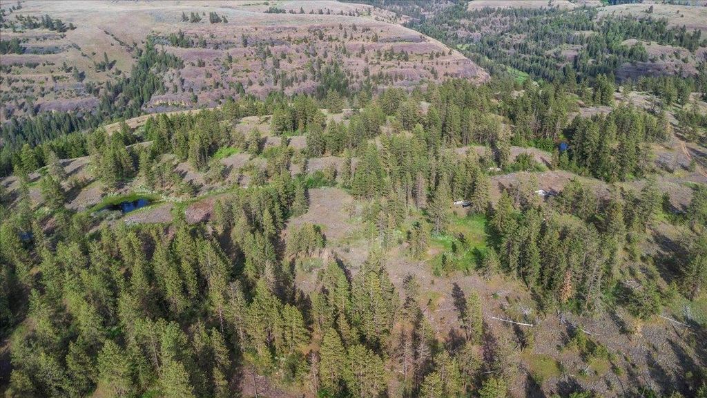 xxx Richardson Ln, Davenport, WA 99122 photo 4