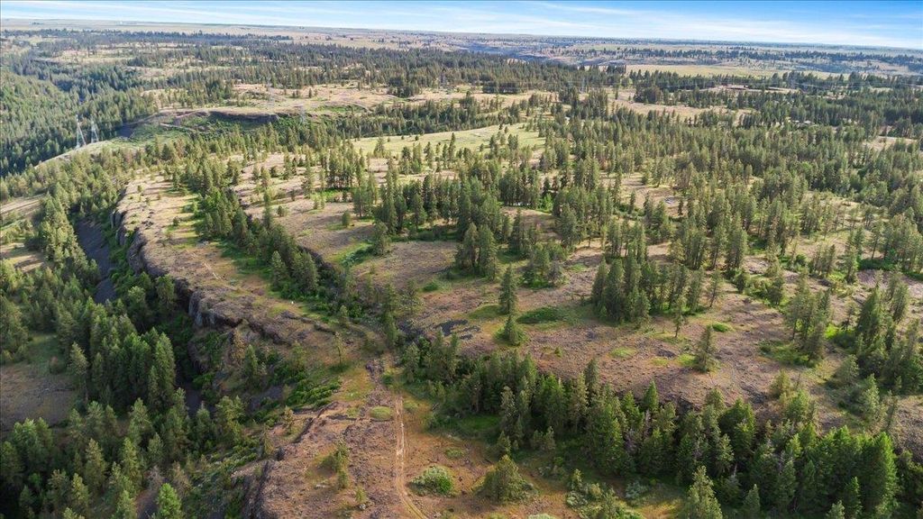 xxx Richardson Ln, Davenport, WA 99122 photo 5