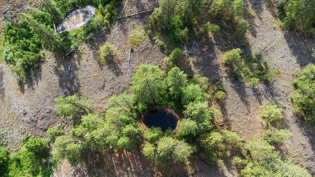 xxx Richardson Ln, Davenport, WA 99122 photo 8