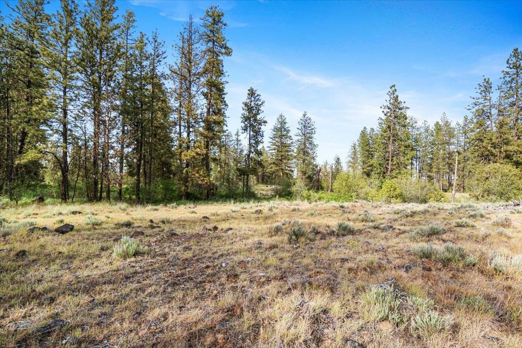 xxx Richardson Ln, Davenport, WA 99122 photo 9