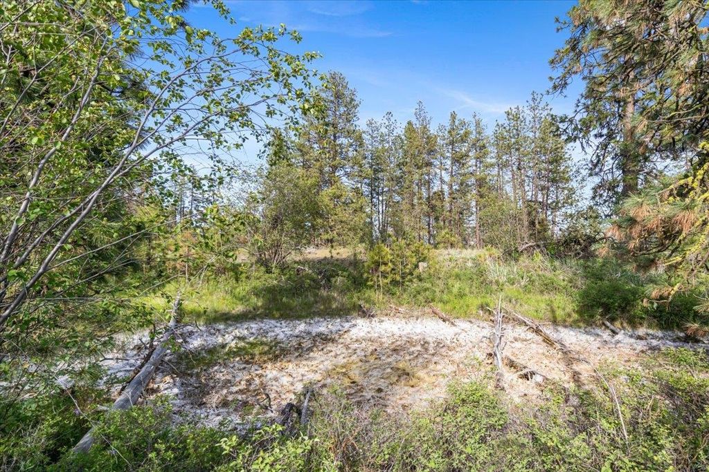 xxx Richardson Ln, Davenport, WA 99122 photo 10