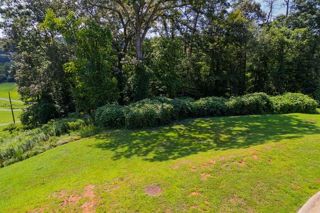 Lots 6-8 N Parkview Drive, Ellijay, GA 30540