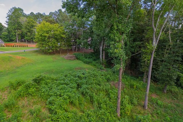 Lots 6-8 N Parkview Drive, Ellijay, GA 30540