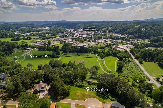 Lots 6-8 N Parkview Drive, Ellijay, GA 30540