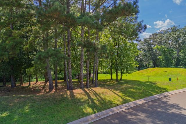 Lots 6-8 N Parkview Drive, Ellijay, GA 30540