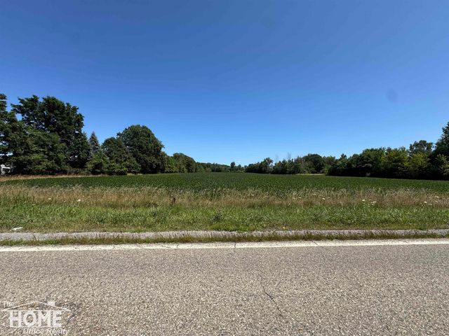 Vacant Webster Road, Mount Morris, MI 48458