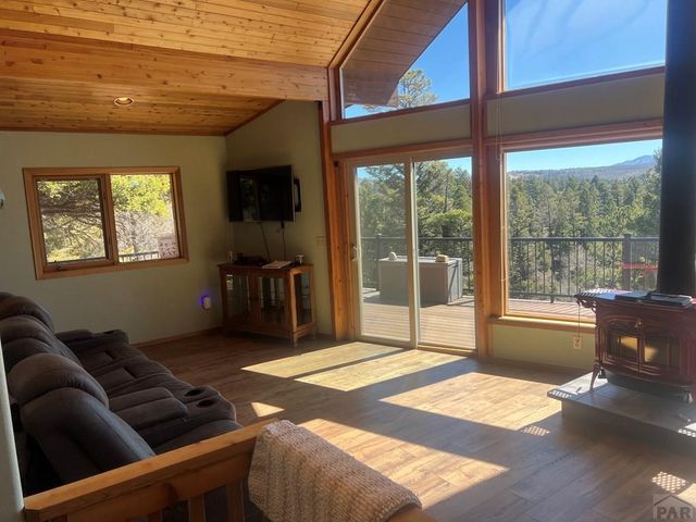 3140 Schierl Rd, Fort Garland, CO 81133