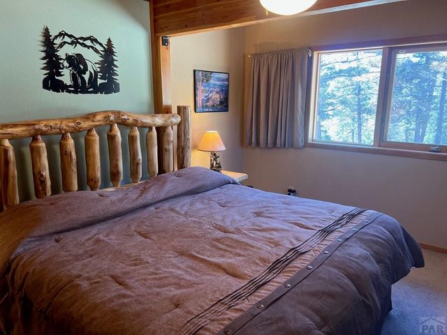 3140 Schierl Rd, Fort Garland, CO 81133