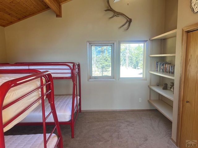 3140 Schierl Rd, Fort Garland, CO 81133