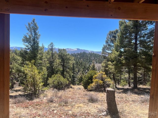 3140 Schierl Rd, Fort Garland, CO 81133