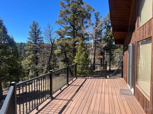 3140 Schierl Rd, Fort Garland, CO 81133