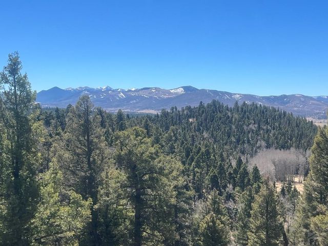 3140 Schierl Rd, Fort Garland, CO 81133